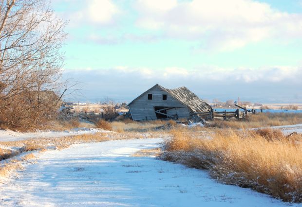 Snow scene